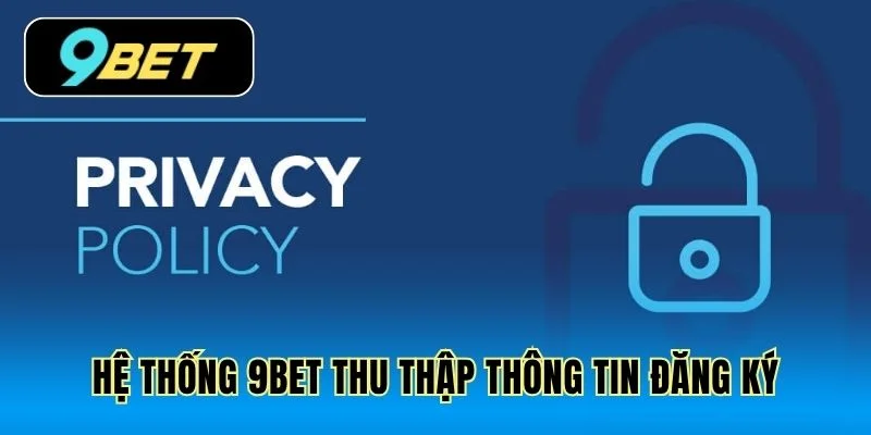 Hệ thống 9Bet thu thập thông tin đăng ký