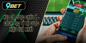 Kèo Cá Cược Châu Á - Cách Đọc Tỷ Lệ Cược Hiệu Quả Nhất
